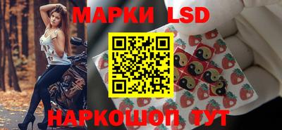крисы Новокубанск