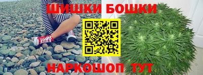 крисы Новокубанск