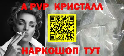 крисы Новокубанск