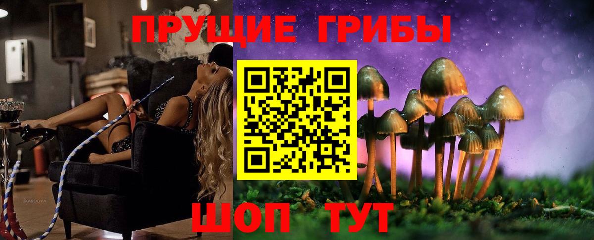 Озёры  Галлюциногенные грибы MAGIC MUSHROOMS  Вход с VPN  что такое наркотик  Галлюциногенные грибы Magic Shrooms 